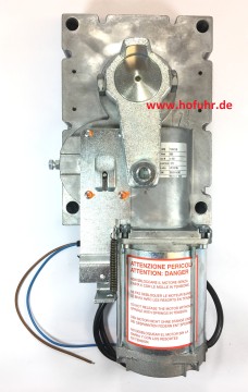 CAME GARD 8 Ersatzteil: Motor-/Getriebeeinheit für G2080Z, 119RIG196