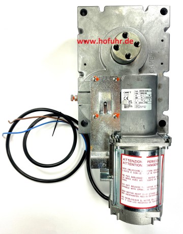 CAME GARD4 Ersatzteil: Motor-/Getriebeeinheit für G4040Z, Version 0, 119RIG198