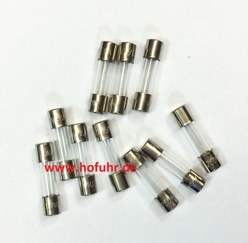CAME Ersatzteil: 10 Stück Sicherung F 0,315 A, 5x20 CAME Ersatzteil: 10 Stück Sicherung F 0,315 A, 5x20