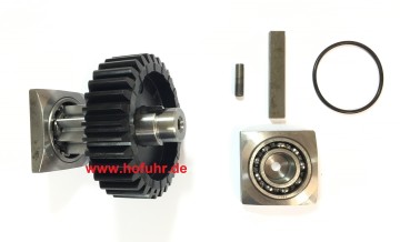 CAME Ersatzteil: Zahnrad mit Welle für GARD Schranke G2080 / G2081, 119RIG152