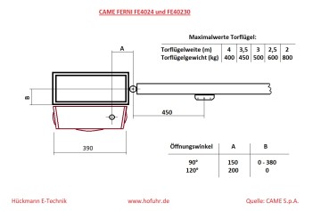CAME FERNI FE40230, 2 flgl. Torantrieb bis 8 Meter, inkl. Steuerung ZM3E und Zubehr