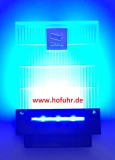 CAME DADOO Blinkleuchte (Blinklampe), blau