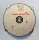 CAME FERNI Ersatzteil: Motor für 230V, F1000, 119RID087