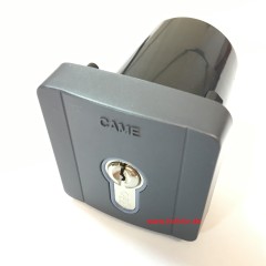 CAME 2 gleichschlieende Schlsseltaster UP mit Profilzylinder, (Schlsselschalter), blaue Beleuchtung, 8K06SL-005
