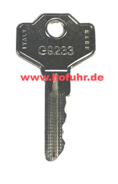 CAME GARD GT4 / GT8 Schranke Ersatzteil: Schlüssel, G9233, 88003-0064