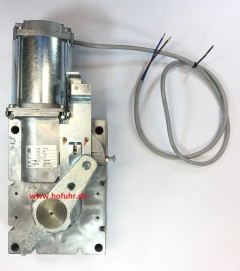 CAME Ersatzteil: Motor-/Getriebeeinheit für GARD Schranke G6000 / G6001 / G6500 / G6501, 119RIG195