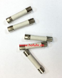 CAME Ersatzteil: 5 Stück Sicherung F 10,0 A, 6,3x32